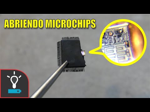 El interior de un chip: ¿Qué componentes lo conforman?