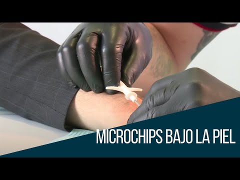 Microchips: ¿Qué está sucediendo en el mundo actual?