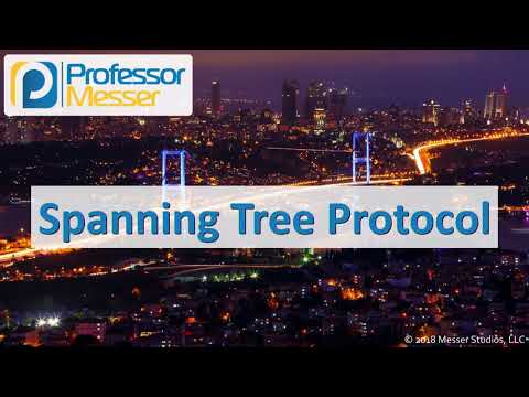 CPST: Todo lo que necesitas saber sobre el Control Point Spanning Tree (NBBS)