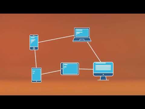 Usuario en redes informáticas: Definición y características