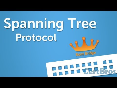 TSP: Todo sobre el Protocolo de Encaminamiento Transparent Spanning Tree
