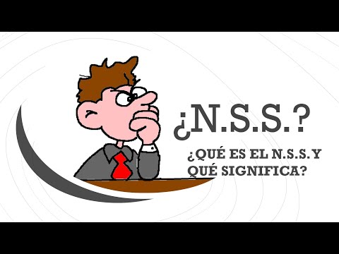 NSS: Qué es y cómo funciona el sistema de conmutación nodal