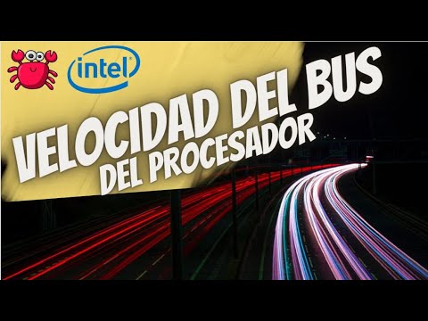 La importancia del bus en la velocidad y rendimiento de tu ordenador