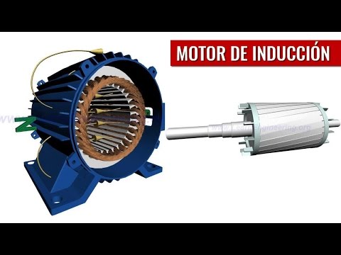 Qué función cumplen las escobillas en un motor eléctrico?