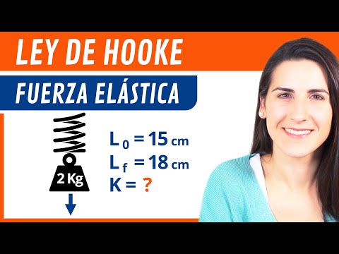 Qué dice la Ley de Hooke: Todo lo que necesitas saber sobre esta ley fundamental de la física