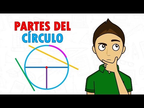 Le parti del cerchio: una guida completa per comprenderne la struttura 