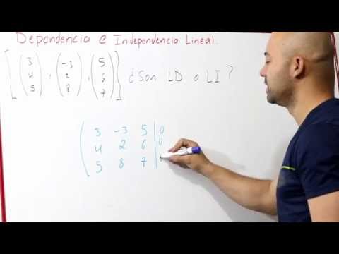 Definición de independencia lineal en álgebra lineal: todo lo que necesitas saber