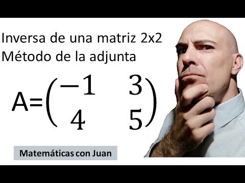 Cómo sacar la inversa de una matriz 2x2: guía paso a paso