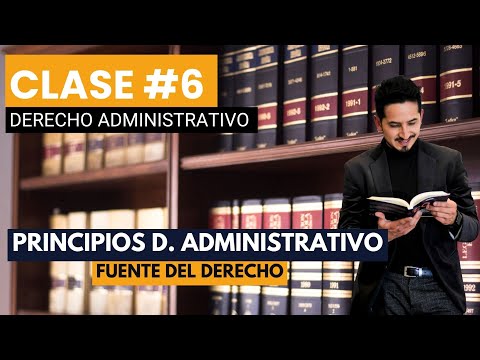 Los principios del derecho administrativo: una guía completa