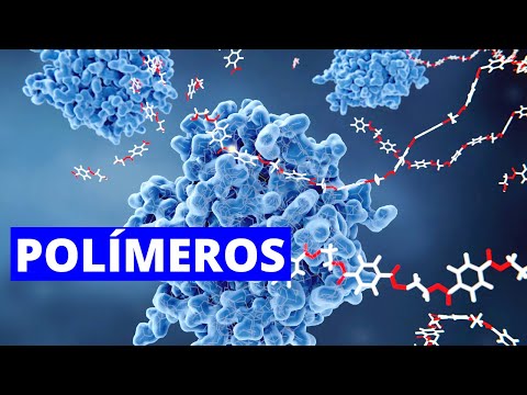 Polímeros en la vida diaria: usos y beneficios que quizás desconocías