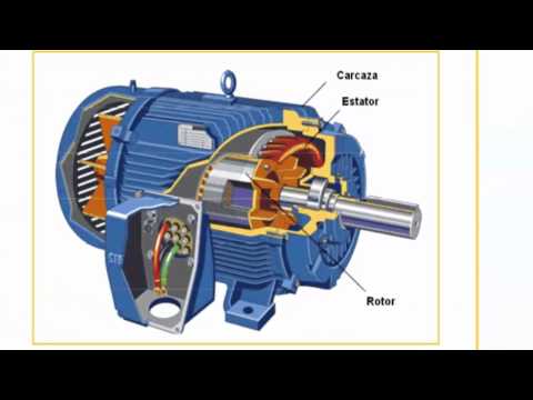 Guía completa de motores trifásicos de inducción en formato PDF