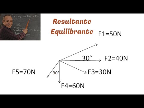 La fuerza equilibrante: concepto y función explicados