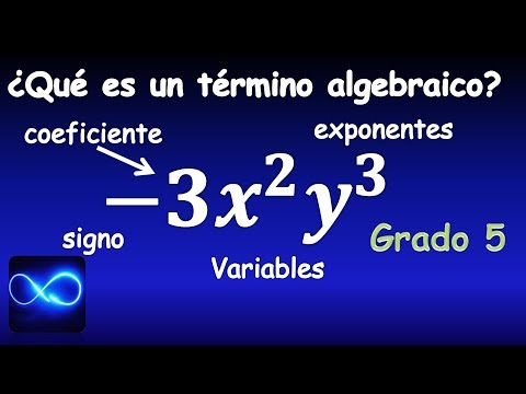 La clasificación de los términos algebraicos: guía completa.