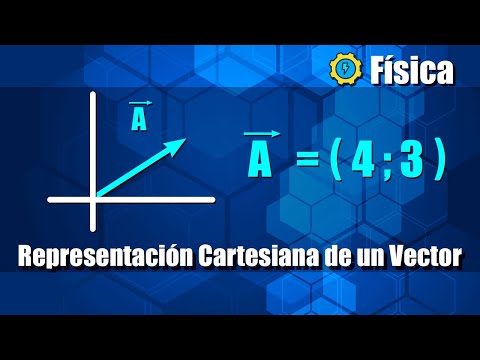 La representación cartesiana de un vector: conceptos básicos y aplicaciones