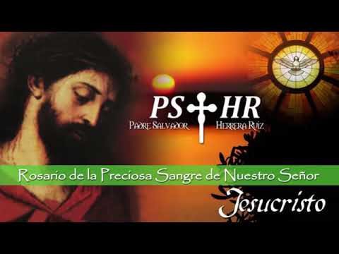 El increíble don de visión del Padre Salvador Herrera Ruiz