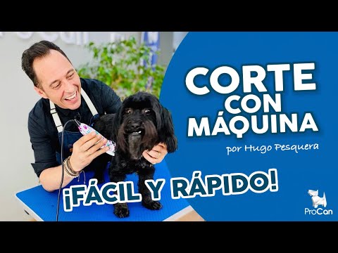 Las mejores máquinas de cortar el pelo para perros - Guía por tipo