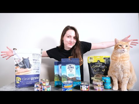 La alimentación adecuada para gatos de interior: ACANA Indoor Entrée Cat 4.5 kg