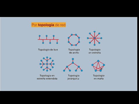 Las características principales de la topología de anillo en redes informáticas