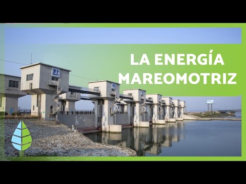 La fascinante energía mareomotriz: ejemplos de su potencial renovable