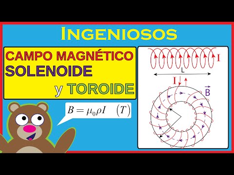 El fascinante mundo del campo magnético en un toroide