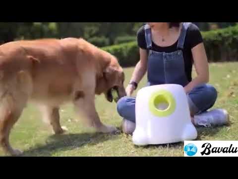 Tirador de pelotas para perros: la solución perfecta para mantener a tu mascota activa y feliz