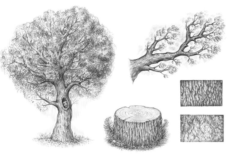 5 formas creativas de dibujar troncos de madera