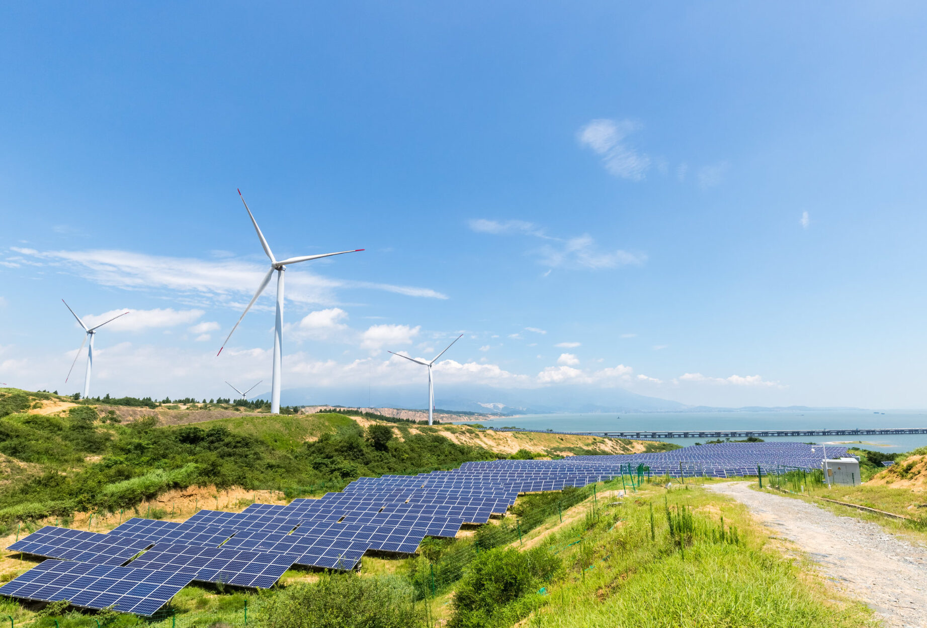 El auge de las empresas de parques eólicos: energía limpia y sostenible