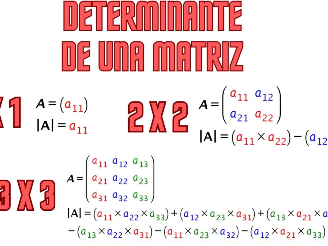 El concepto de determinante de una matriz: una explicación completa