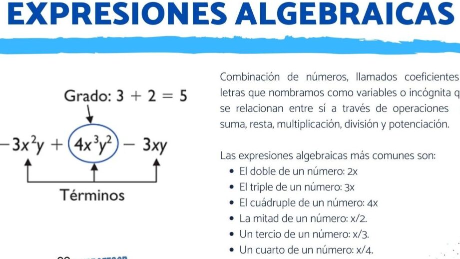 Entendiendo el grado de una expresión algebraica