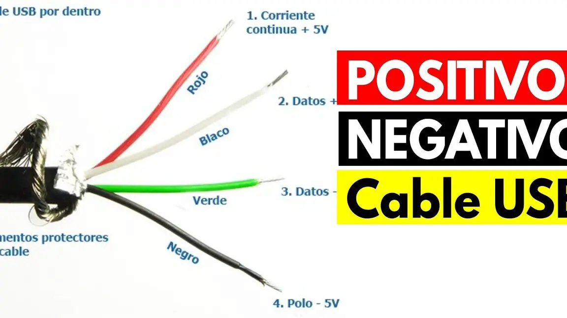 Identifica la polaridad correcta en un cargador: positivo y negativo