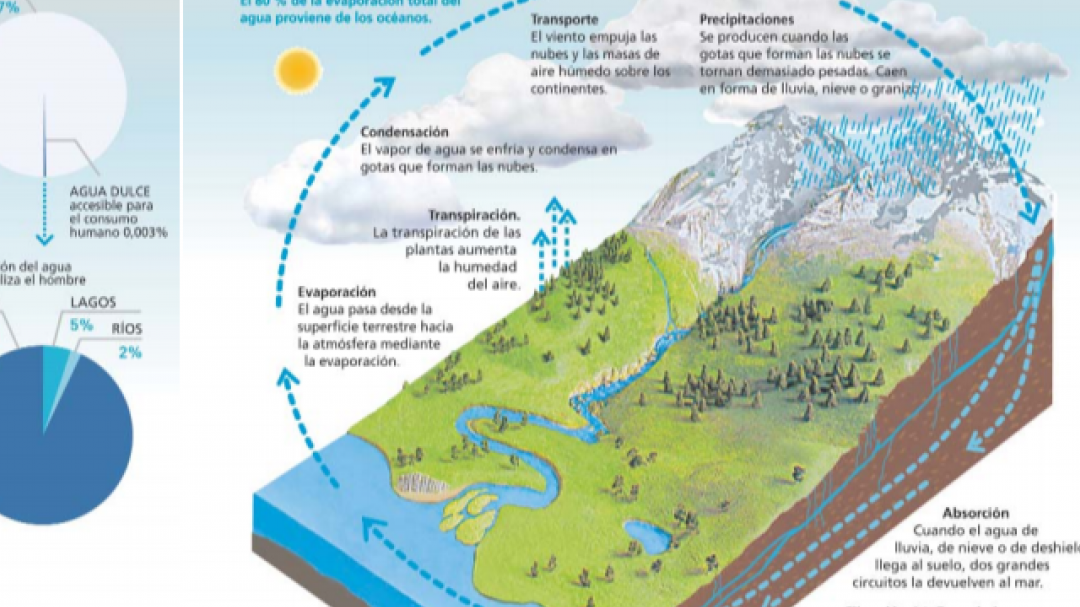La importancia de las aguas superficiales y profundas en el equilibrio del ecosistema