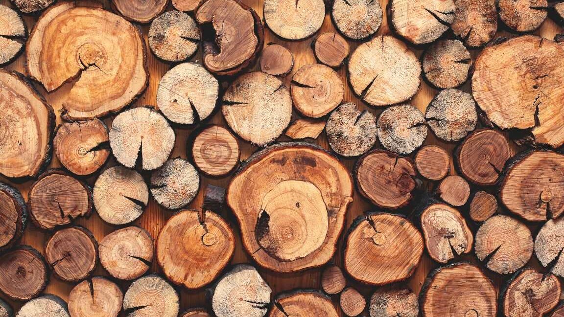 La versatilidad de los materiales derivados de la madera