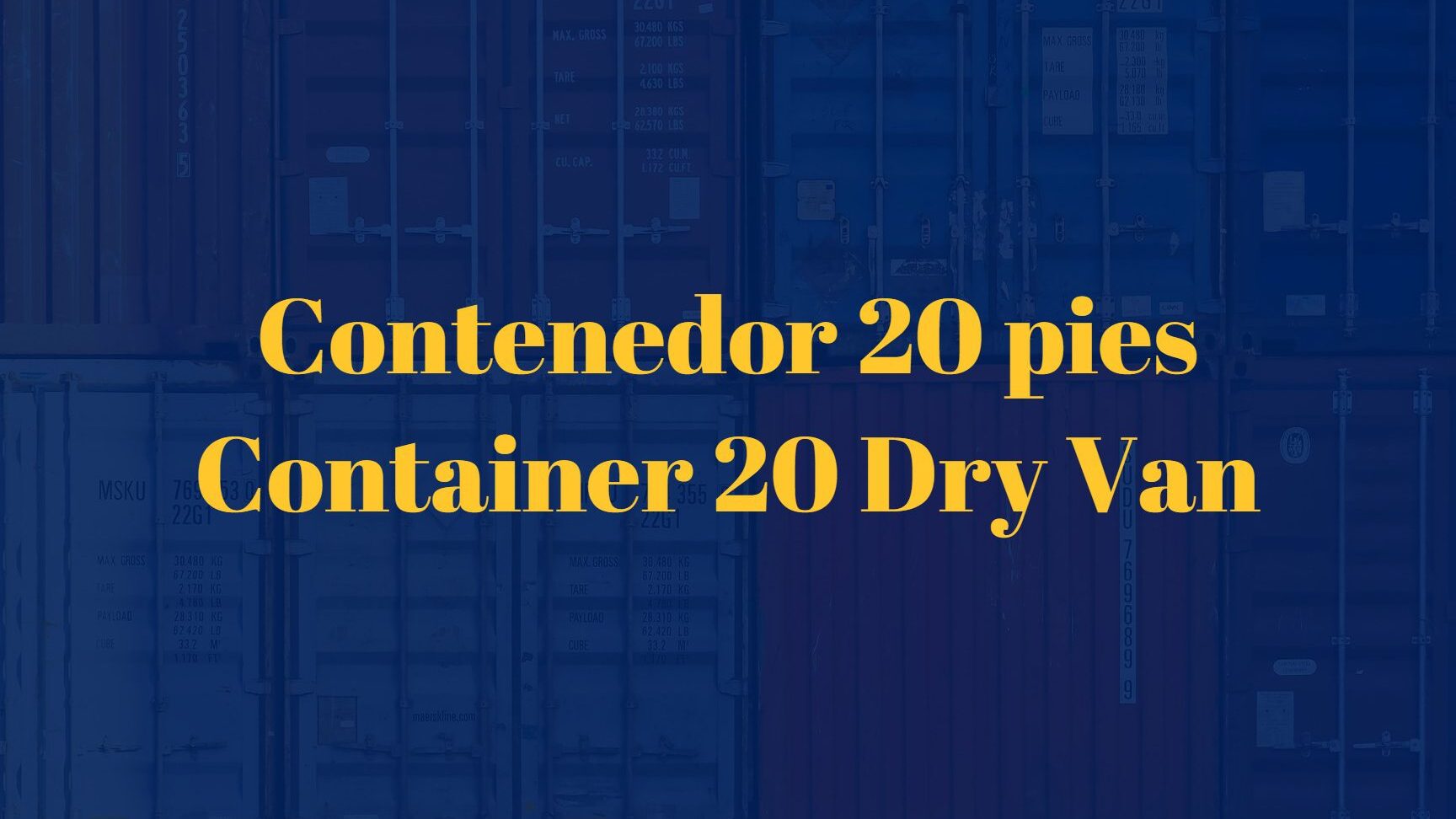 Todo lo que debes saber sobre el contenedor 20 DV